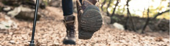 http://www.harbourliving.ca/images/events/1098747427.png